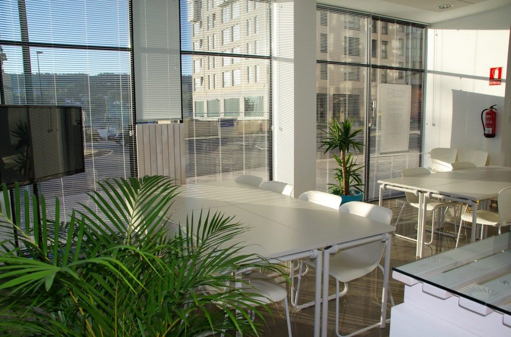 The importance of plants in the workplace