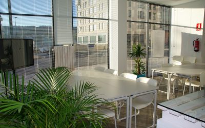 Importance of plants in the workplace